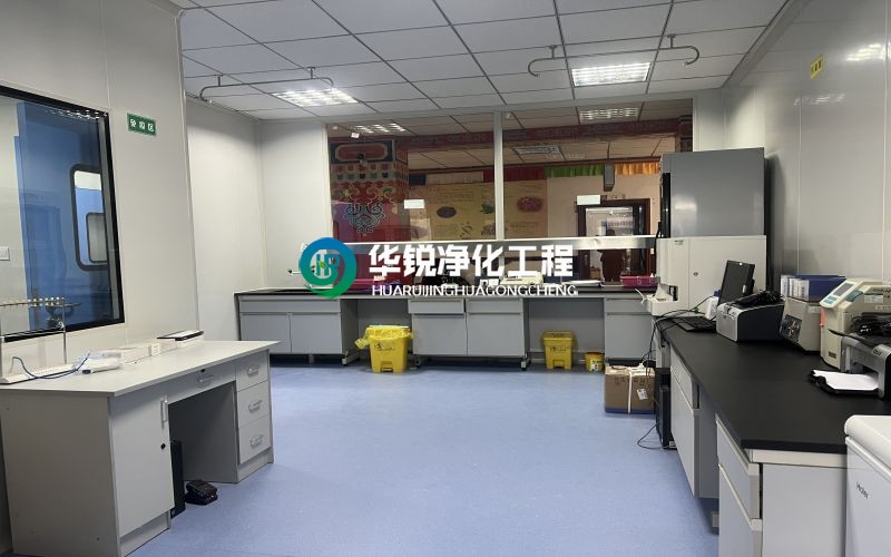 成都細(xì)胞實(shí)驗(yàn)室裝修施工